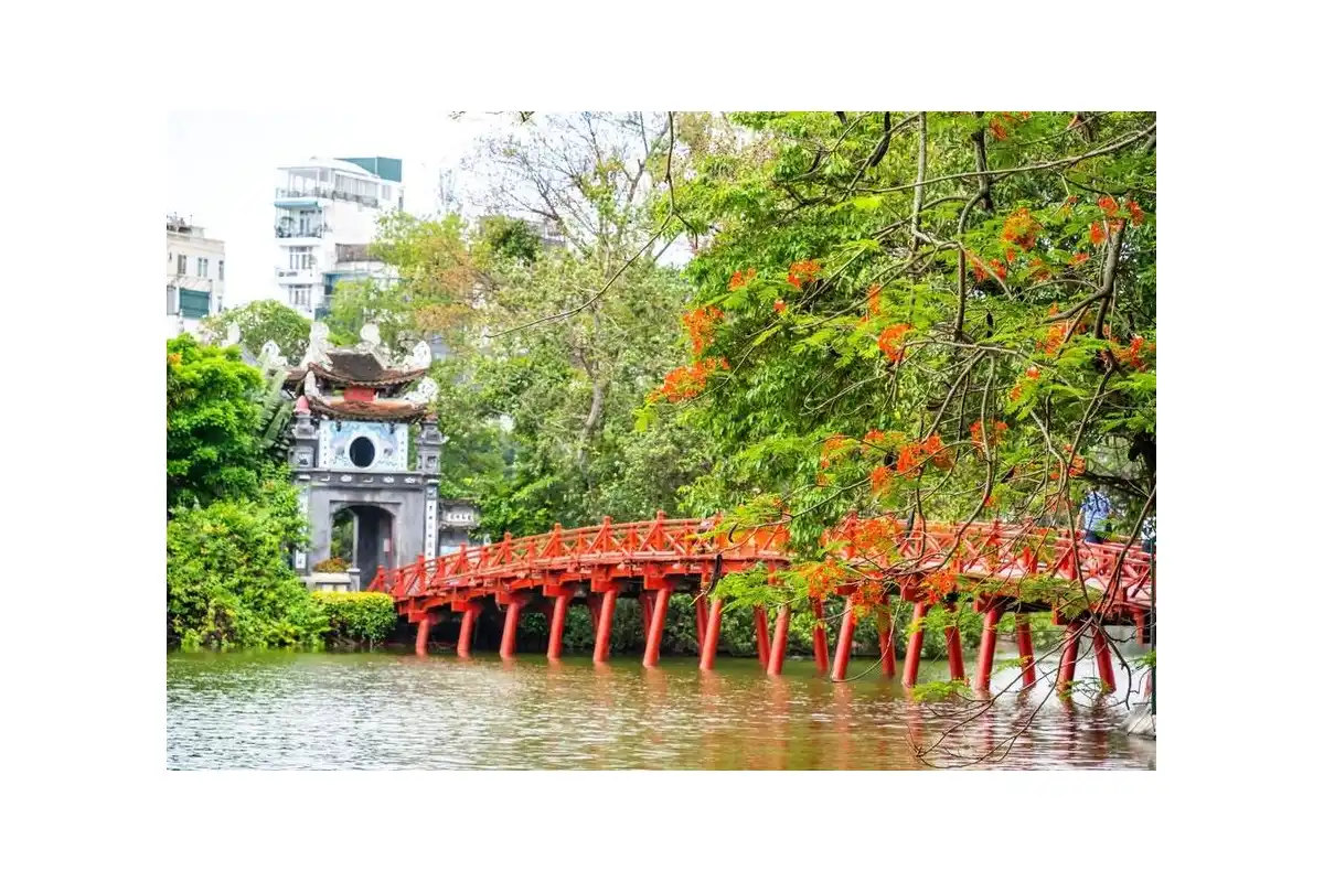 Gallery 01